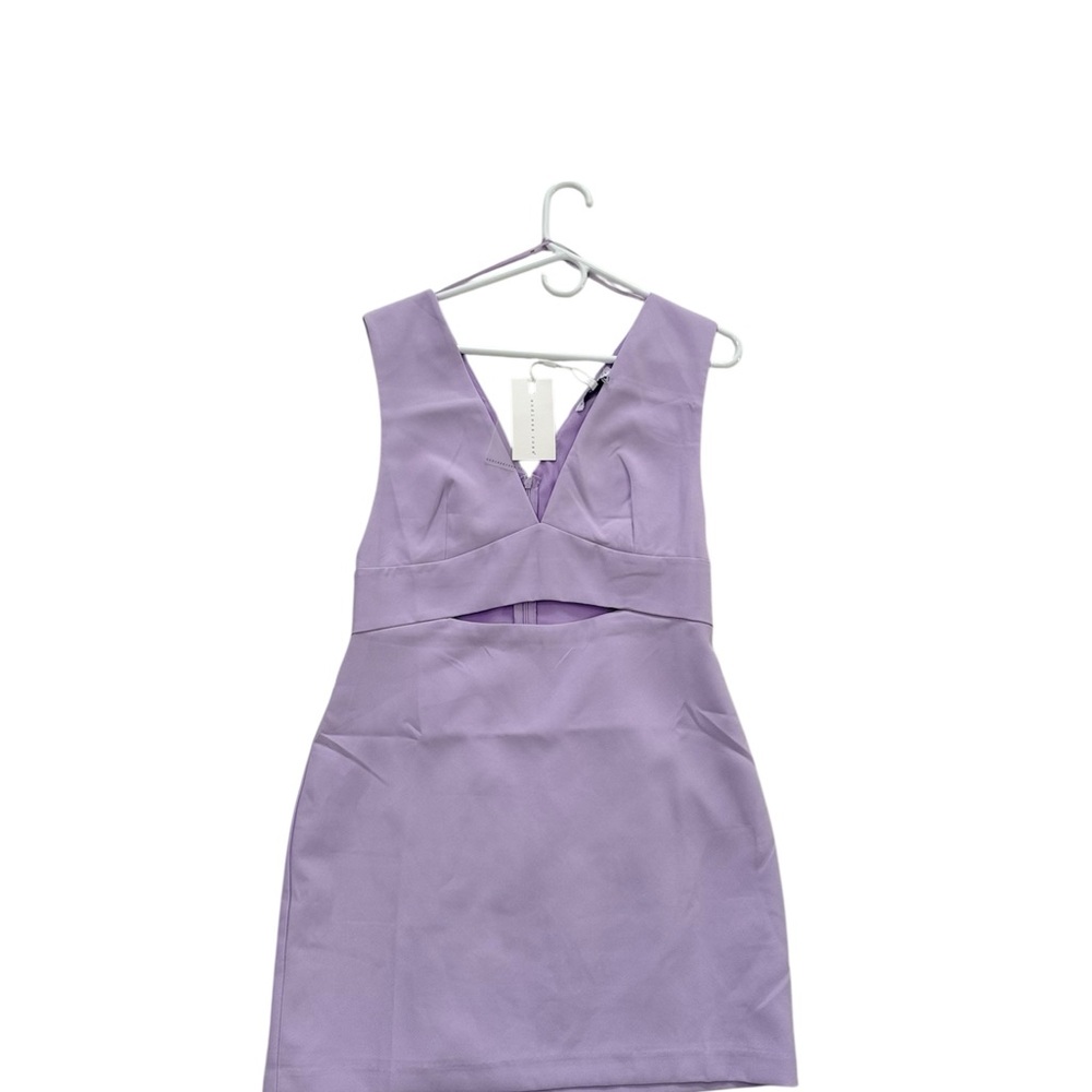 Endless Rose Lavender Mini Dress